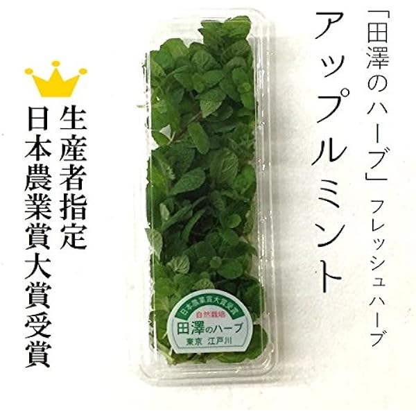 乾燥スペアミント　20g 農薬不使用　ハーブ　枝葉付き　茨城産　天日干し　アロマ 乾燥スペアミント 20g 農薬不使用 ハーブ 枝葉付き 茨城産 天